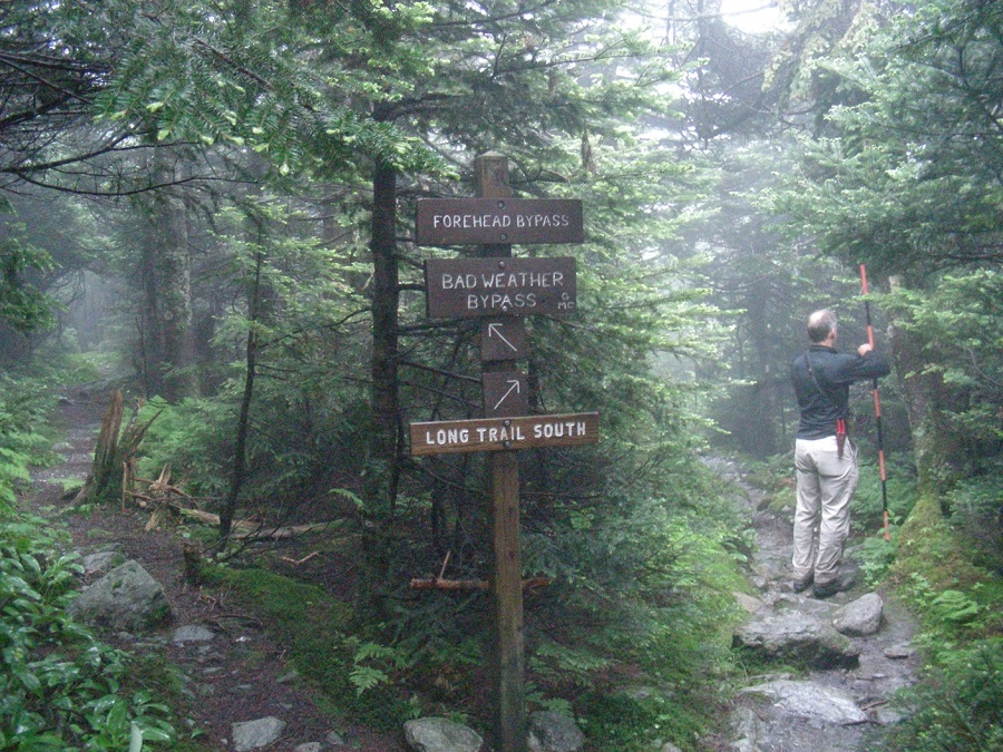 Field work along the Long Trail