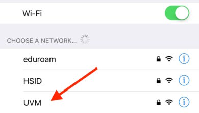 iOS Available Networks with UVM highlighted
