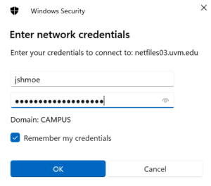 Enter your credentials to connect to NetFiles.