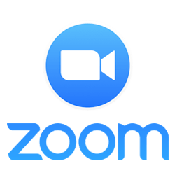 logo zoom