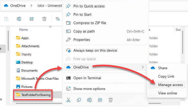 Windows Files Explorer showing item OneDrive Manage access option