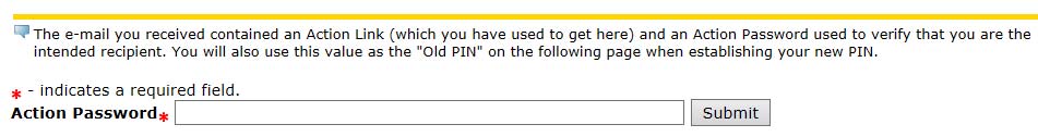 Action Password entry field