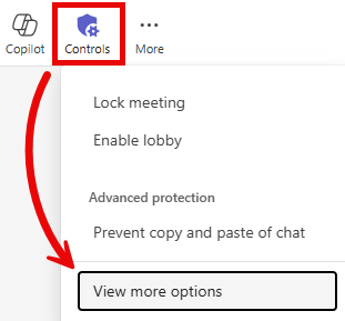 Controls menu with View More Options highlighted