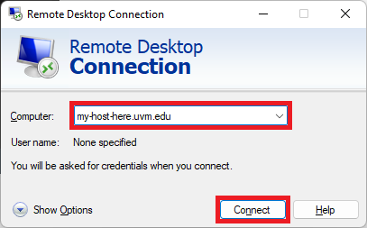 Windows Remote Desktop Connection window.
