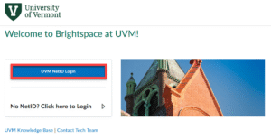 Logging in to Brightspace with a NetID.
