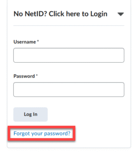 Forgot your password link on Brightspace non-NetID login page.