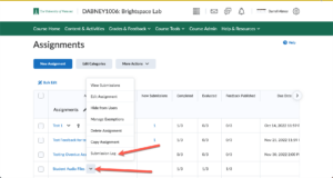 Brightspace Assignment Submission Log 1