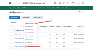 Brightspace Assignments view Submissions