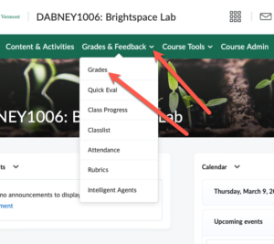 Steps to Accessing Brightspace Grades Center