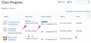 class progress window in Brightspace