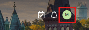 show account menu, with icon click 