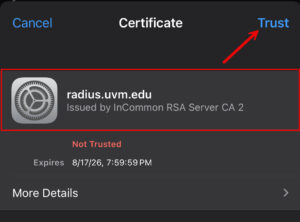 iOS trust certificate