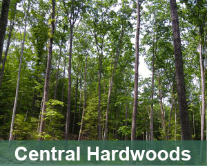 centralhardwoods