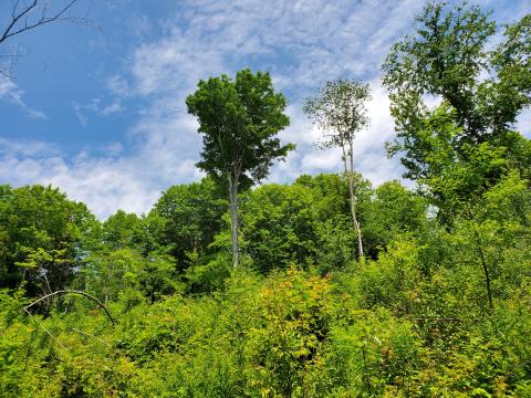 3.ASCC Transition.jpg 3.ASCC Transition.jpg