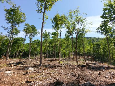 7. La Playa 2018_0.jpg 7. La Playa 2018_0.jpg