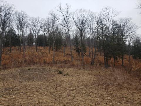 20220331_130815.jpg 20220331_130815.jpg