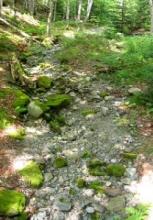 Campbell_drystream_drought.jpg