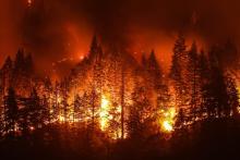fire.jpg
