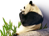 contact_image.png
