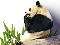 additional_photo_4.png