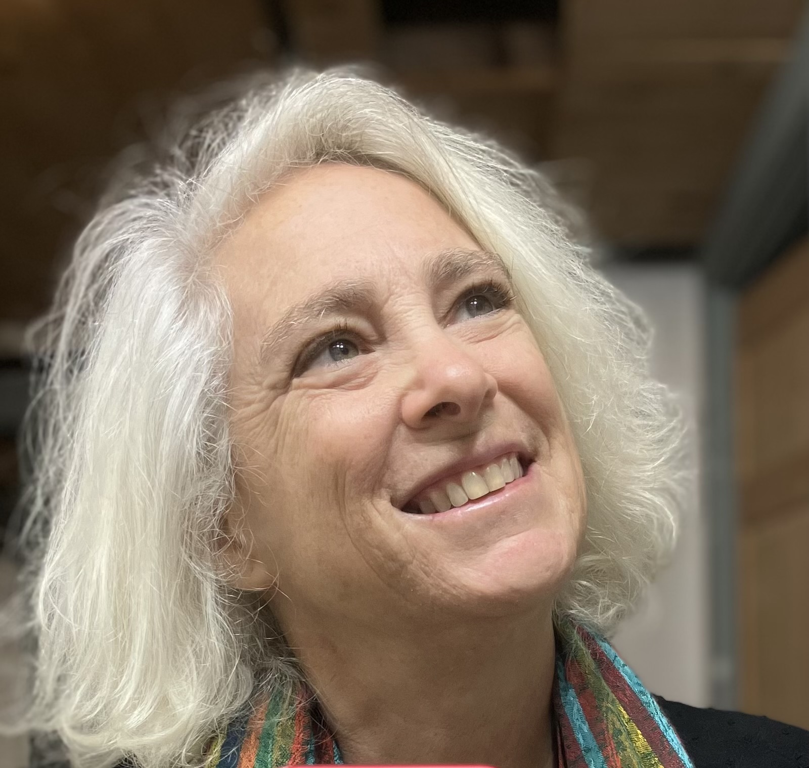 Carol Greenhouse