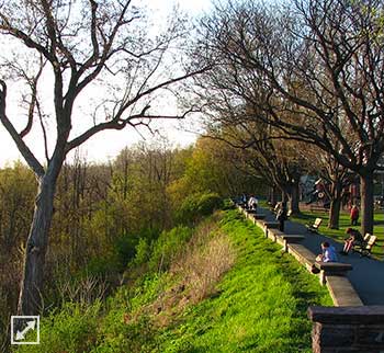 Battery Street Park