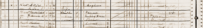 1880 Census record of Eliza and Elijah Root