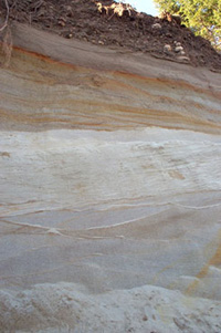 surficial sediments