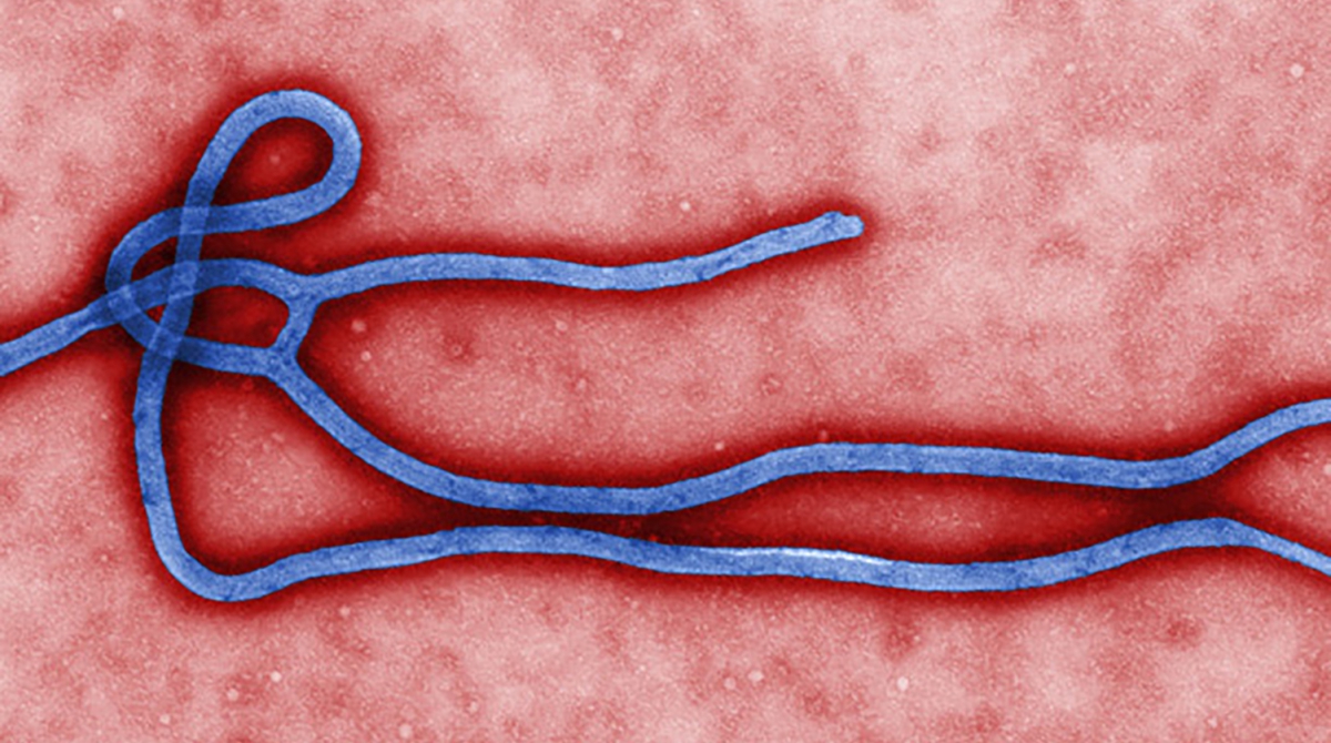 ebola