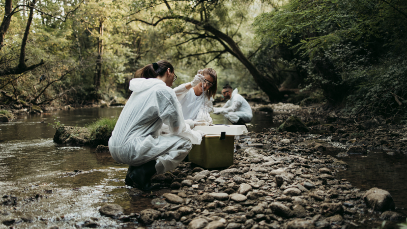 public health researchers in stream