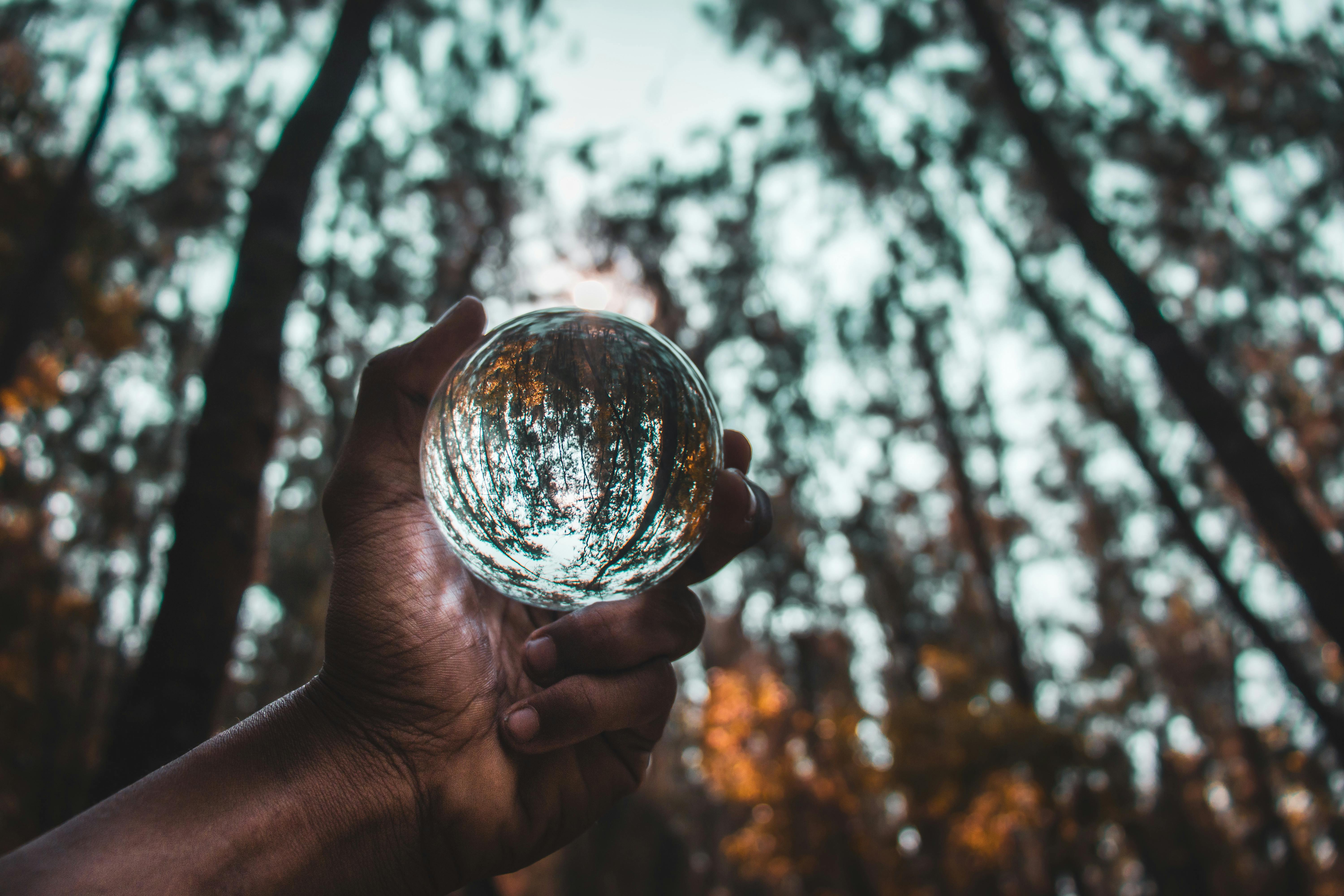 Crystal ball held up to trees and sunlight