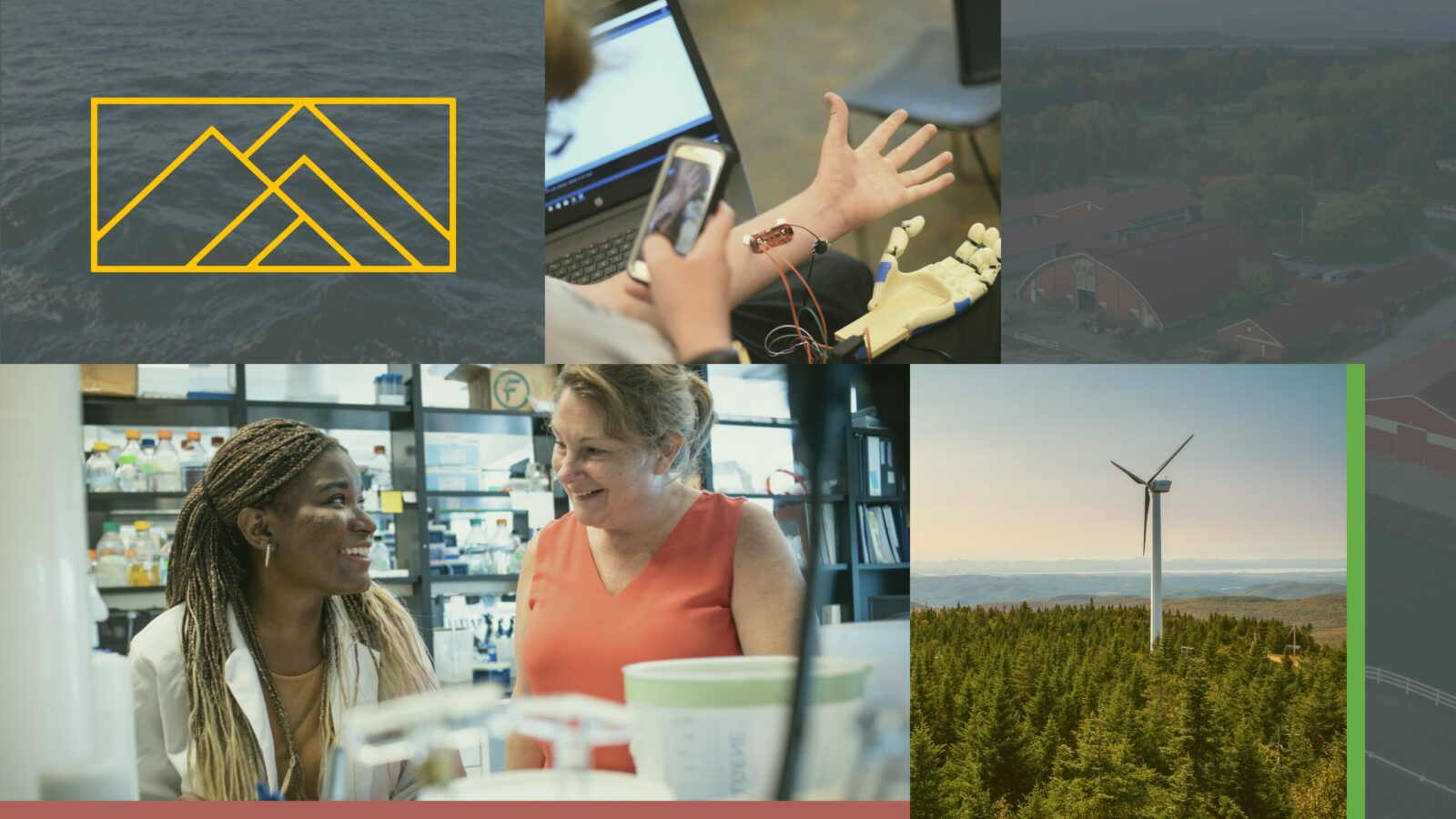 UVM RISE Summit photo collage