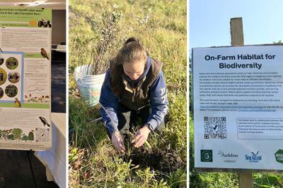 Cassie Wolfanger presents poster, plants seedlings and holds yellow bird.