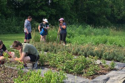 People working in seedling nursery