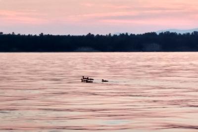 Sunset on Lake Champlain with ducks