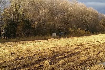 Agricultural field in late winter