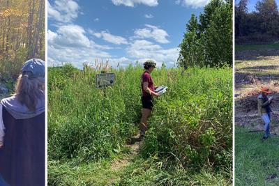 Staff with clipboards in forest and field settings.