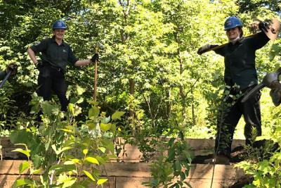 Four young adults with blue hard hats work with tools on wooden structures and plantings in the forest