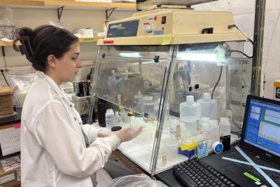 Sea Grant Scholar Noelle Hasan working with water samples in the lab