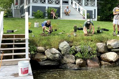 Four young people plant native shrubs on residential property near lakeshore