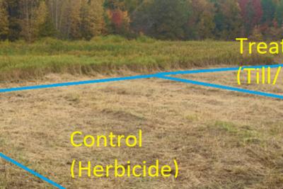 A mown wetland field near woods with two research plots marked