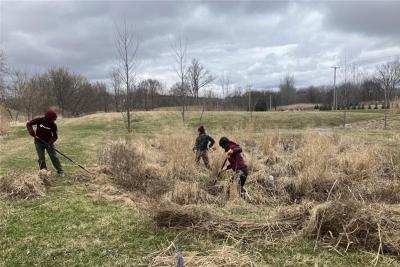 Participants in a field during a Green Infrastructure tour
