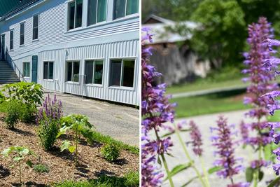 Rain garden at Robinson Elementary School