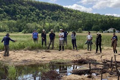 Photo of people standing at the Hubbardton River Clayplain Forest