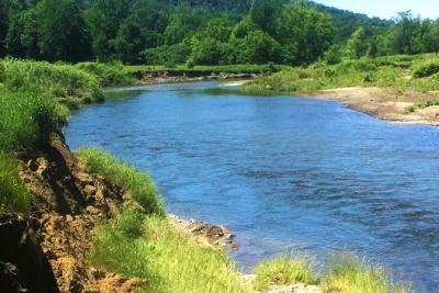 River with an eroded bank during the summer