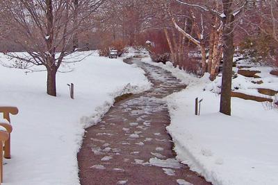 Cleared park sidewalk surrounded by snow