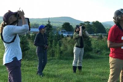 Margaret, Cassie, Helen and Simran watching and listening for birds, focusing on the farm’s meadows and trees. Photo: Gwendolyn Causer, Audubon Vermont