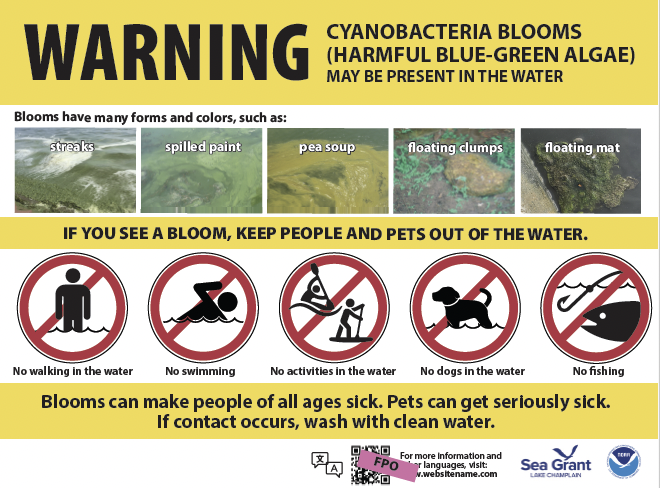 warning sign about cyanobacteria blooms