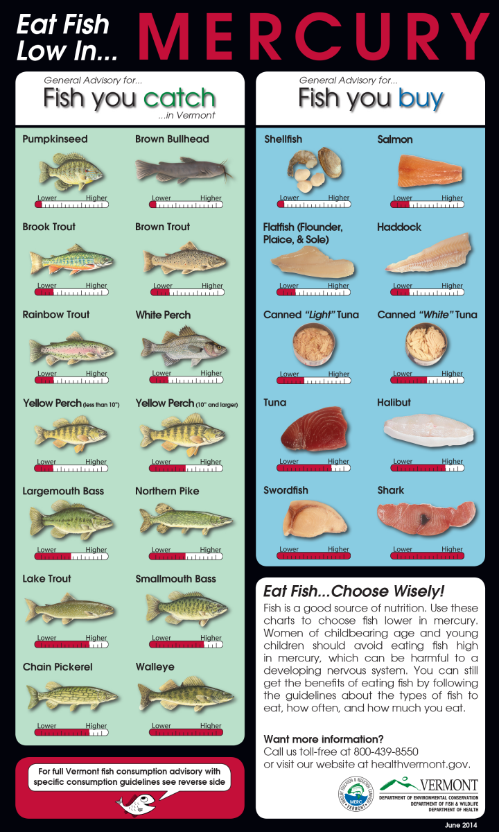 How much mercury is found in different types of fish in a diagram