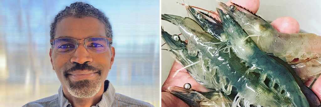 Lake Champlain Sea Grant Hires Basin’s First Aquaculture Education Specialist